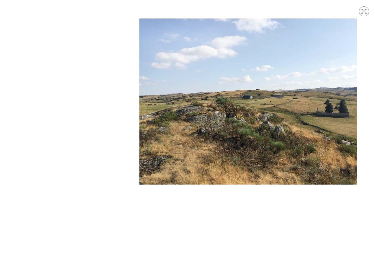 Marcann`s_catering9 Marcann`s_catering9